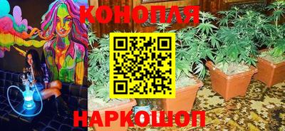 прущие крисы Волгодонск